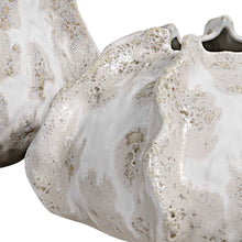 Load image into Gallery viewer, Ivory Ocean Urchin Vases
