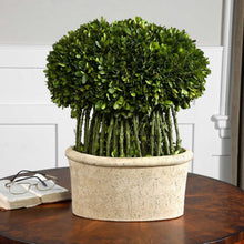 Load image into Gallery viewer, Medium Evergreen Shrub Box Planter
