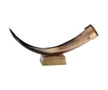 Load image into Gallery viewer, Large Iron And Horn Sculpture
