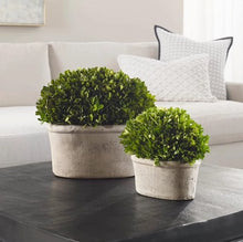 Load image into Gallery viewer, Large Shrub Box Planter
