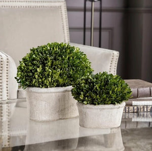 Large Shrub Box Planter
