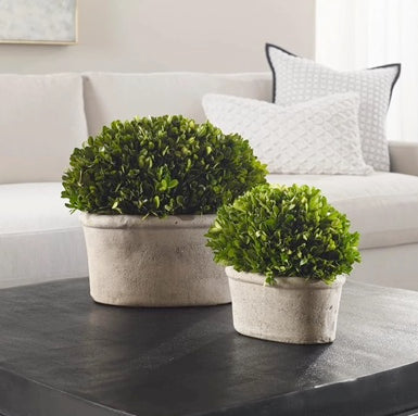 Large Shrub Box Planter