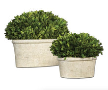 Load image into Gallery viewer, Large Shrub Box Planter
